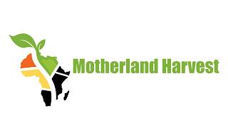 MOTHERLAND HARVEST trademark