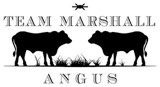 TEAM MARSHALL ANGUS trademark