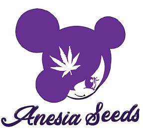 ANESIA SEEDS trademark