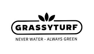 GRASSYTURF NEVER WATER - ALWAYS GREEN trademark