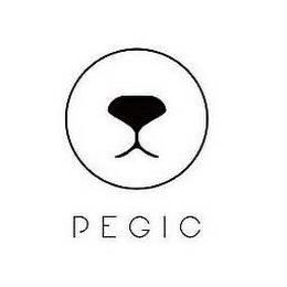 PEGIC trademark