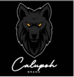 CALUPOH BRAND trademark