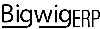 BIGWIGERP trademark