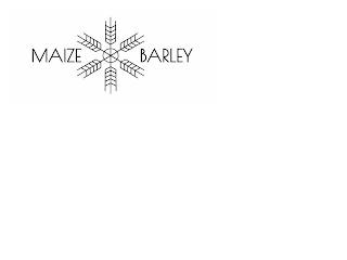 MAIZE BARLEY trademark