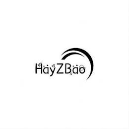 HAYZBAO trademark