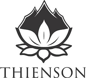 THIENSON trademark