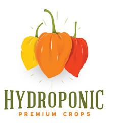 HYDROPONIC PREMIUM CROPS trademark