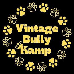 VINTAGE BULLY KAMP trademark