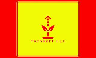 TECHSOFT LLC trademark