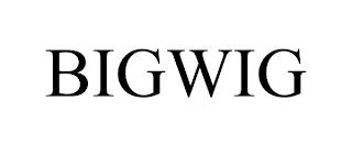 BIGWIG trademark