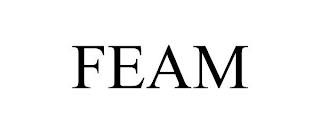 FEAM trademark