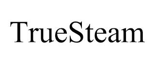 TRUESTEAM trademark