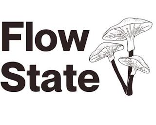 FLOWSTATE trademark