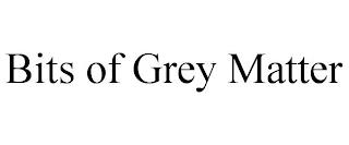 BITS OF GREY MATTER trademark