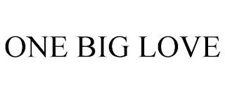 ONE BIG LOVE trademark