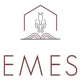 EMES trademark