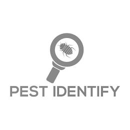 PESTIDENTIFY trademark