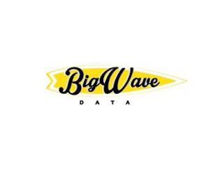 BIG WAVE DATA trademark