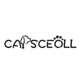 CAPSCEOLL trademark