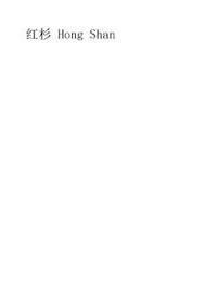 HONG SHAN trademark