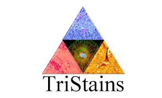 TRISTAINS trademark