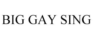 BIG GAY SING trademark