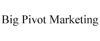 BIG PIVOT MARKETING trademark