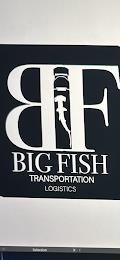 BID FISH TRANSPORTATION trademark