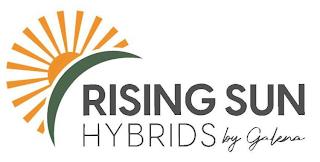 RISING SUN HYBRIDS BY GALENA trademark