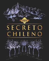 SECRETO CHILENO trademark