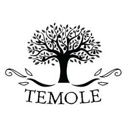 TEMOLE trademark