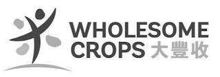 WHOLESOME CROPS trademark