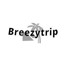 BREEZYTRIP trademark