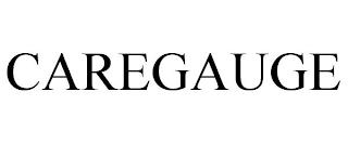 CAREGAUGE trademark