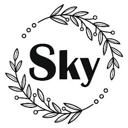 SKY trademark