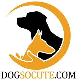 DOGSOCUTE.COM trademark