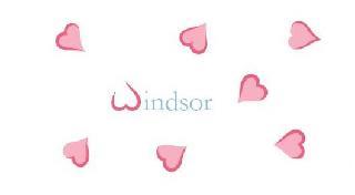 WINDSOR trademark