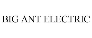 BIG ANT ELECTRIC trademark