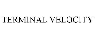 TERMINAL VELOCITY trademark