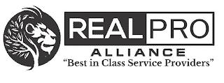 REALPRO ALLIANCE BEST IN CLASS SERVICE PROVIDERS trademark