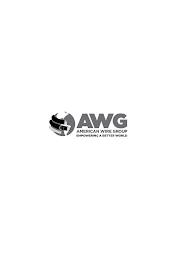 AWG AMERICAN WIRE GROUP EMPOWERING A BETTER WORLD trademark