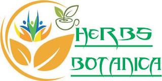 HERBS BOTANICA trademark