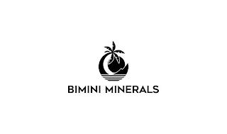 BIMINI MINERALS trademark