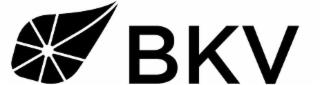 BKV trademark