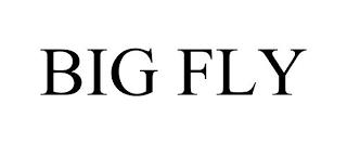 BIG FLY trademark