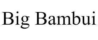 BIG BAMBUI trademark