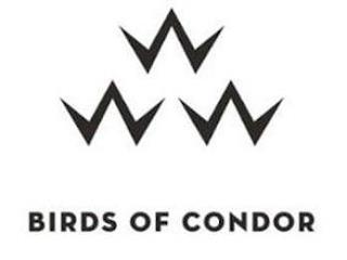 BIRDS OF CONDOR trademark