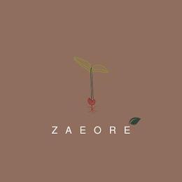 Z  A  E  O  R  E trademark