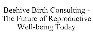 BEEHIVE BIRTH CONSULTING - THE FUTURE OF REPRODUCTIVE WELL-BEING TODAY trademark