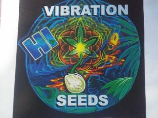 HI VIBRATION SEEDS trademark